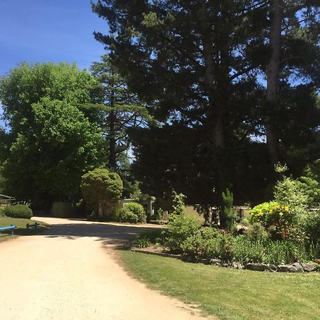 Daylesford Holiday Park Екстериор снимка