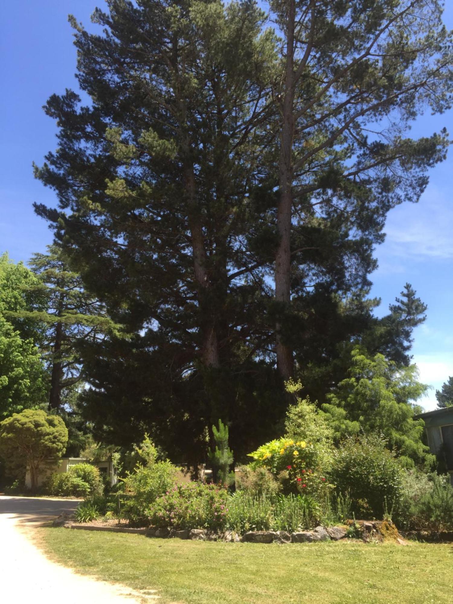 Daylesford Holiday Park Екстериор снимка